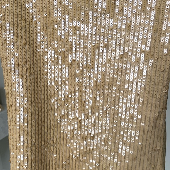 Retrofete Slater Sequin Knit Dress in Nude - Picture 8 of 8